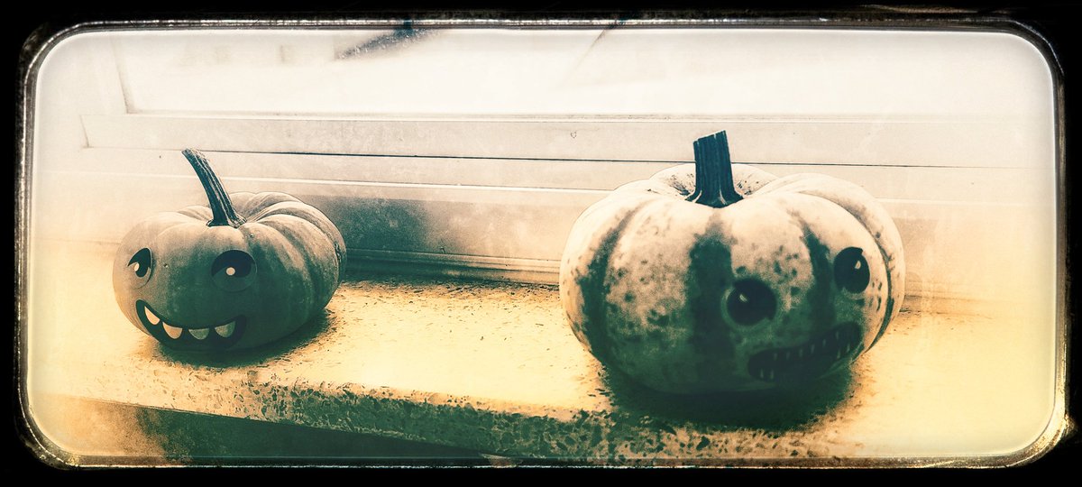 jazon's tweet image. 🎃