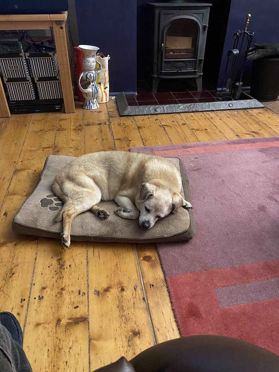 It’s been a hell of a week but Zoli is clearly taking it all in her stride