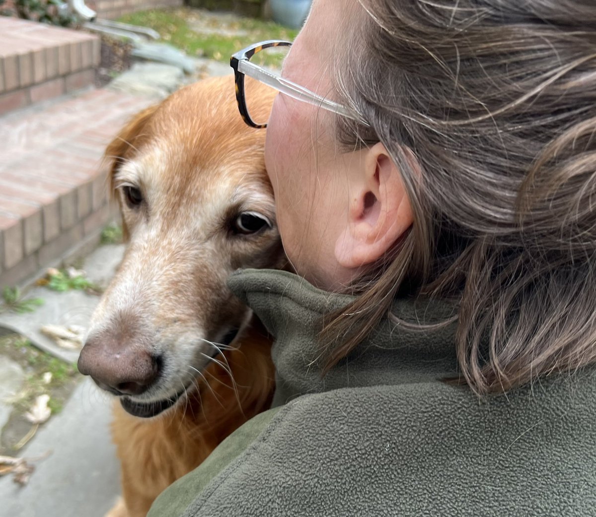 Cinnamon passed over the Rainbow Bridge this afternoon to join her brothers and sisters.
We tried to buy her time but she told us it was her time to go.
Rest easy now, girl. Mr. Case and I will get the newspaper every morning for you.
💔🐾🐾💔🌈