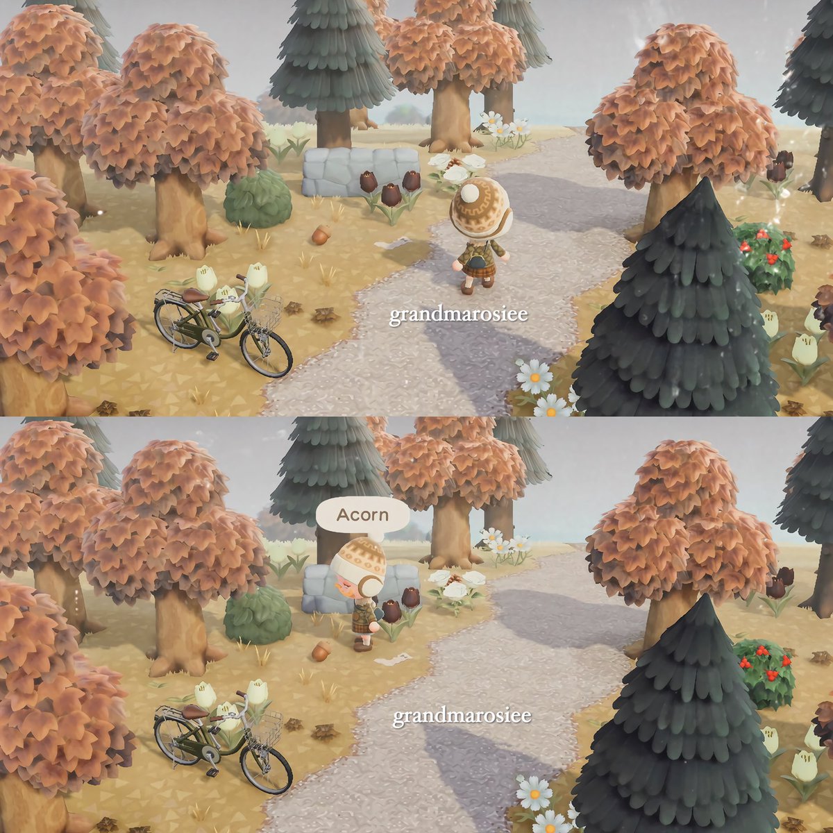 grandmarosiee's tweet image. an autumn stroll 🧺🍂

#acnh #animalcrossing #animalcrossingnewhorizons #autumncore #autumn