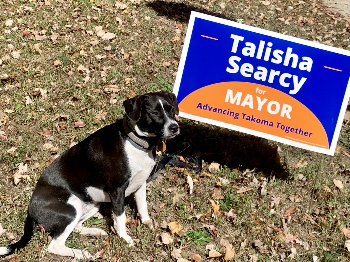 jlgriffith7's tweet photo. Gracie knows that Takoma Park needs a leader with a proven track record of working to build a livable, inclusive, and sustainable city. That’s why she made sure we’re all in for ⁦⁦@Talisha4Takoma⁩. Looking forward to having Talisha as my next Mayor! https://t.co/6yOgB9N68q