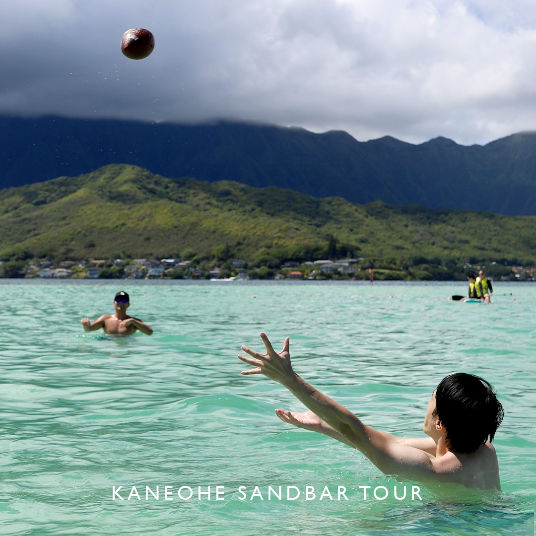 cptbruce_hi's tweet photo. ⁠Plenty of space for football at the sandbar🏈

#captainbrucehawaii 🔹⚓🔹 #oahu #hawaiifun #ourplayground #kaneohesandbartour https://t.co/HaROzVDlJl