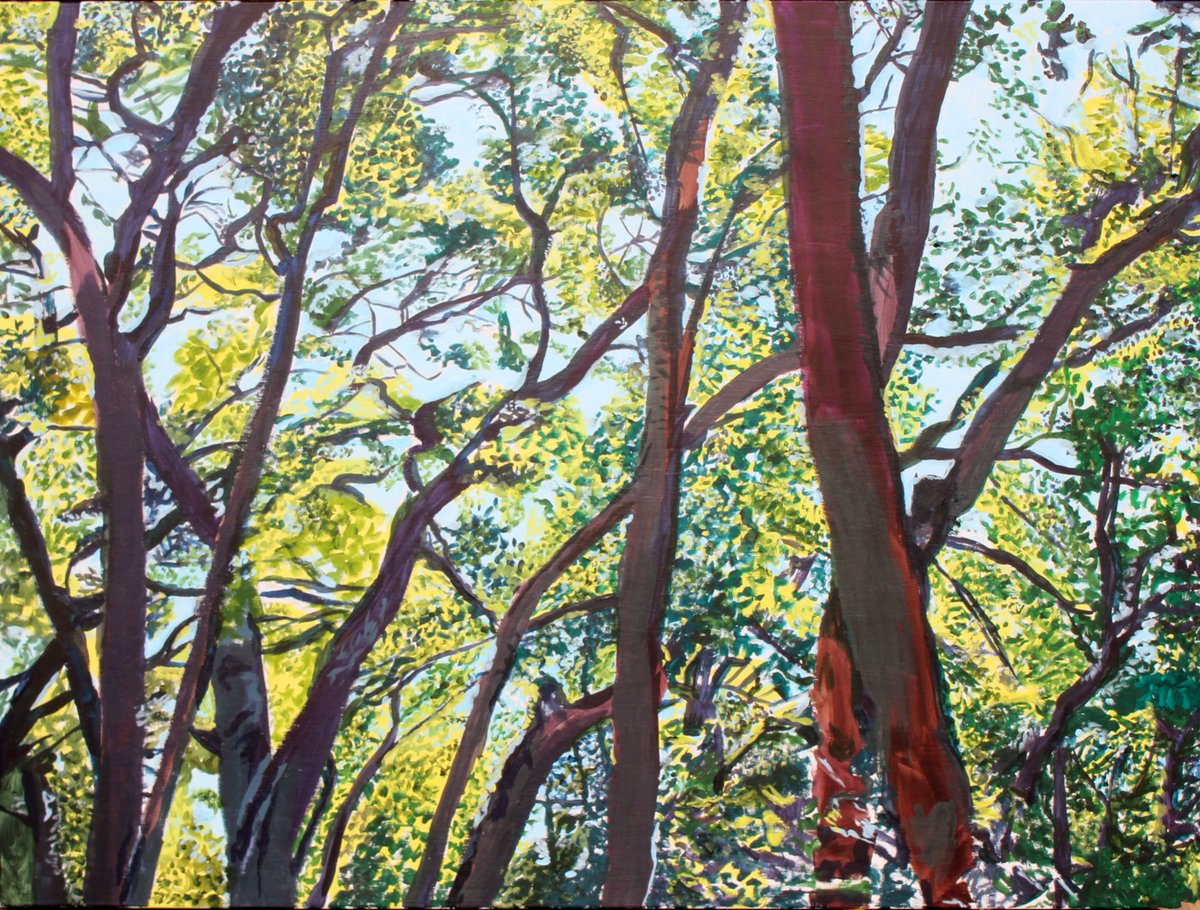 TArthurSmithSK's tweet photo. "Scrub Oaks at Sada Coe, Summer Time" Step 6. 36" x 48" acrylic on canvas.

#art #painting #nature #California #HenryCoe #NationalPark #trees #oak #acryliconcanvas #acrylic #artistontwitter https://t.co/epMZn0M3Ts