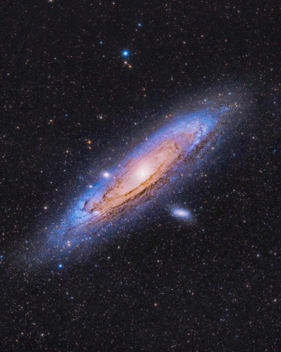 uhd2020's tweet photo. The Andromeda galaxy ✨

📸 @AstroBackyard https://t.co/WxgSwmadMG