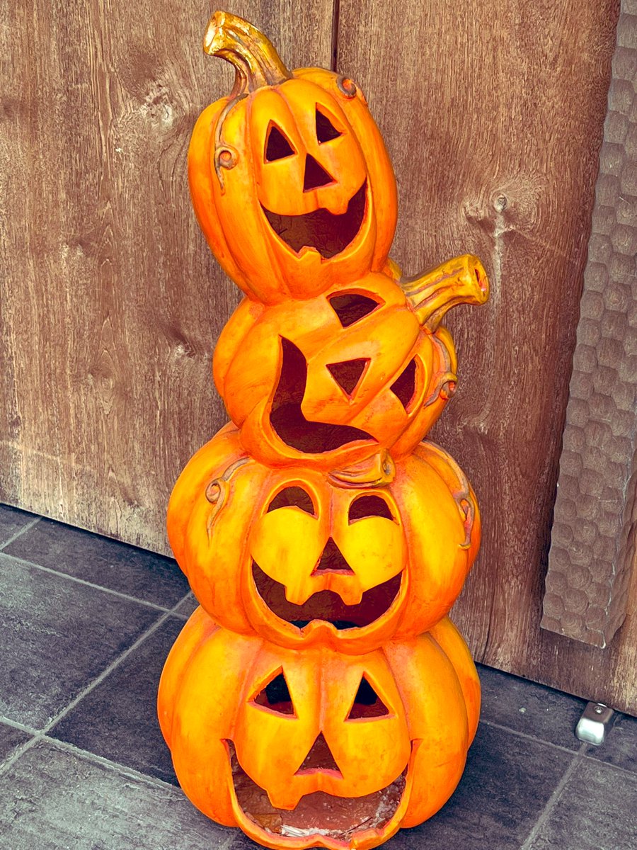 🎃 Have a happy day y’all.🎃🧛🏽‍♂️🦇