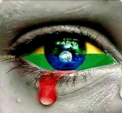 BolsotmjSim's tweet photo. um povo que escolhe corruptos, impostores, ladrões e traidores, não é vítima, é cúmplice. https://t.co/vePMXN9X8o
