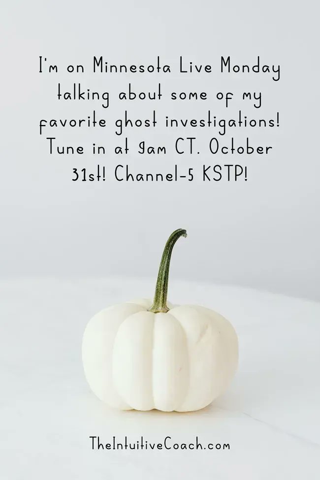 JodiLivon's tweet photo. I'm on MINNESOTA LIVE on HALLOWEEN!! https://t.co/5H0Jsph8gH #mnlive #haunteddomains #spooks #intuition #thehappymedium #GoodVibesOnly #chrisegert #megannewquist https://t.co/xiwdzdwMkZ
