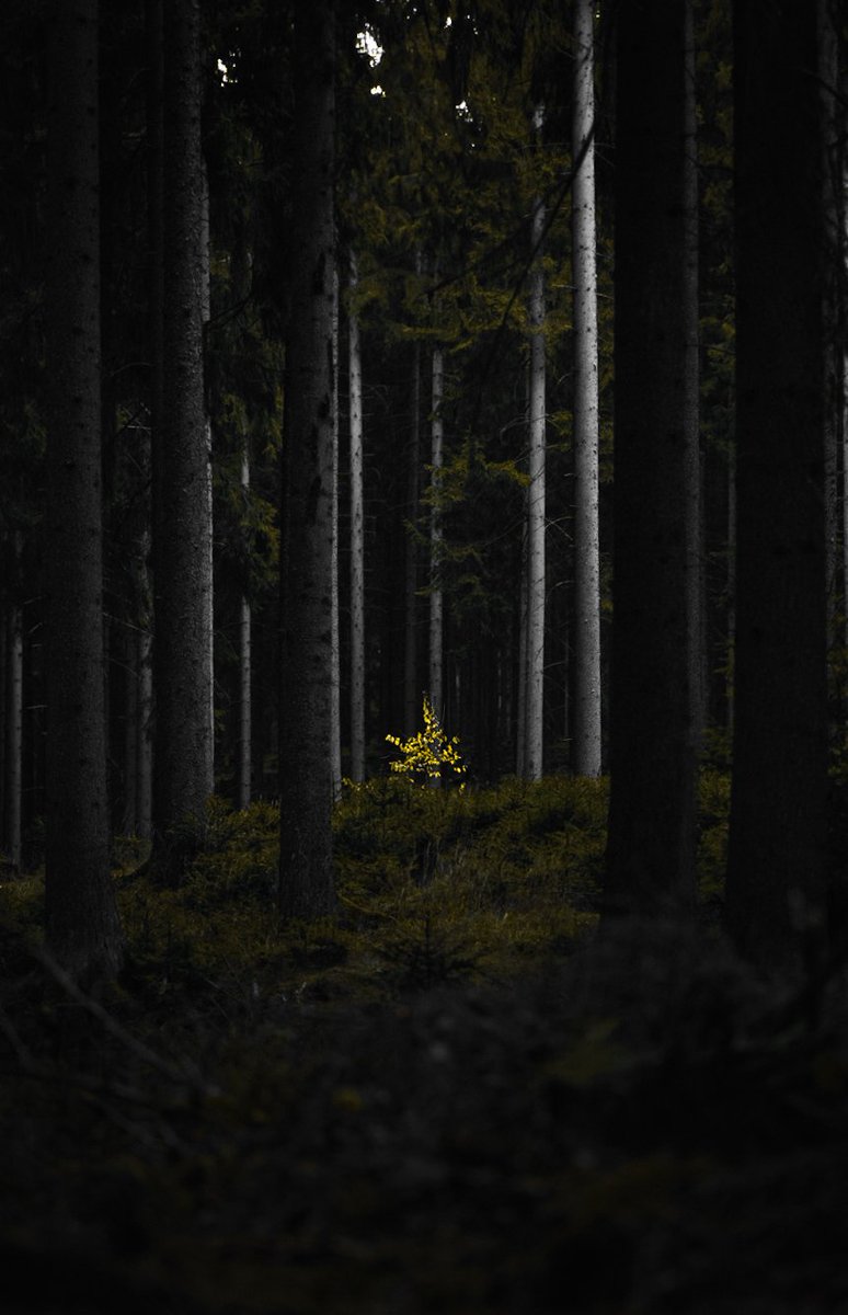 fifty50_NFT's tweet image. There is always room for something new 🌱
#photography