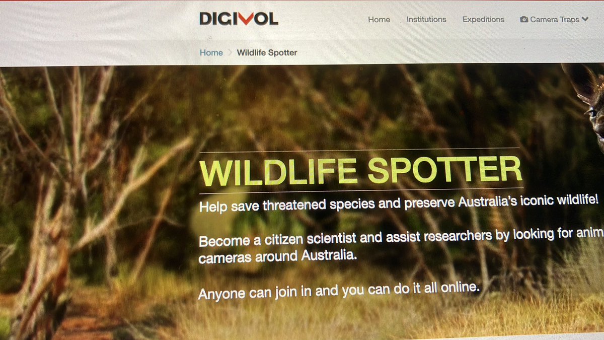 Erin (@scienceonseven) on Twitter photo Fellow EnviroSci educators let’s get students to assist in saving #threatened #species by serving as #CitizenScience volunteers to examine & record #wildlife data using #wilderness cams in Australia. #koala <a href="/AMDigiVol/">DigiVol</a> <a href="/CitSci/">CitSci</a> <a href="/LEARN_CitSci/">LEARN CitSci</a> <a href="/jillfnugent/">Jill Nugent</a> <a href="/NSTA/">National Science Teaching Association</a> Fellow EnviroSci educators let’s get students to assist in saving #threatened #species by serving as #CitizenScience volunteers to examine & record #wildlife data using #wilderness cams in Australia. #koala <a href="/AMDigiVol/">DigiVol</a> <a href="/CitSci/">CitSci</a> <a href="/LEARN_CitSci/">LEARN CitSci</a> <a href="/jillfnugent/">Jill Nugent</a> <a href="/NSTA/">National Science Teaching Association</a>