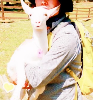 FluffyHUGS_prj's tweet photo. なんと昨日、わざわざ大阪能勢の里でヤギさんとHUG2ショット撮影🐐　御応募頂きました。　本日キャンペーン応募最終日🎁　 #キャンペーン開催中 #NFT #Giveaways https://t.co/nhpSrm5mci