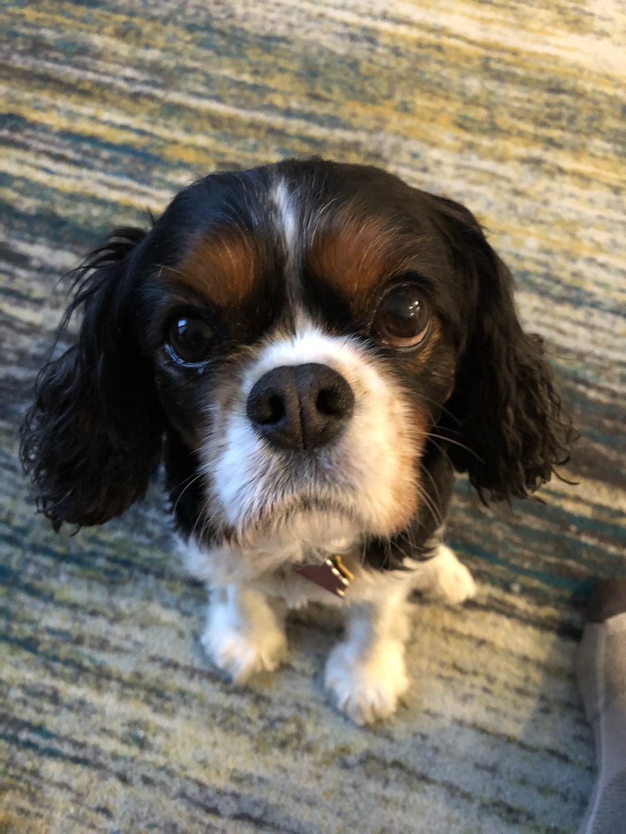 Dad I need dinner ASAP!