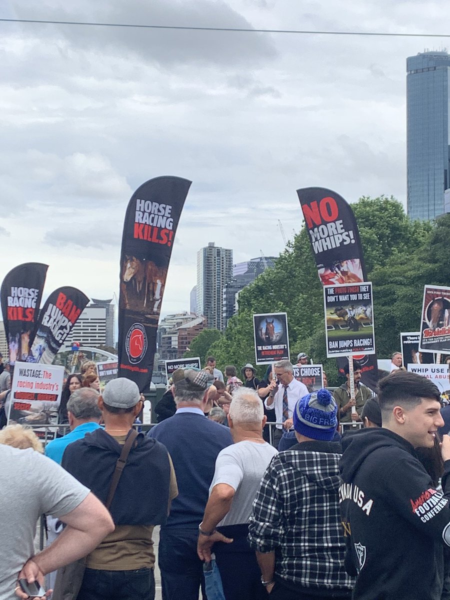 RealScottBoyton's tweet image. #flogs