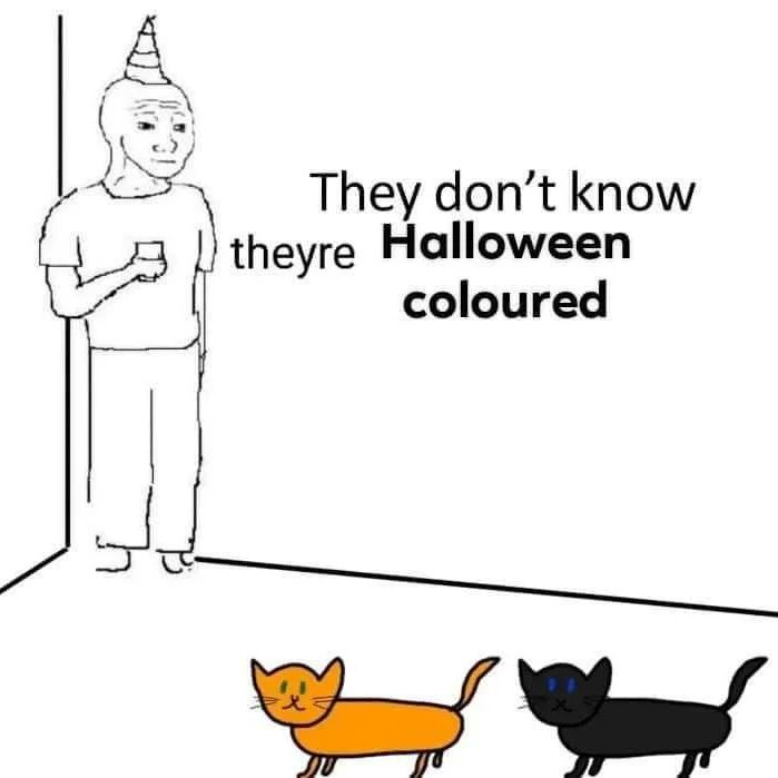 RespectfulMemes's tweet image. 