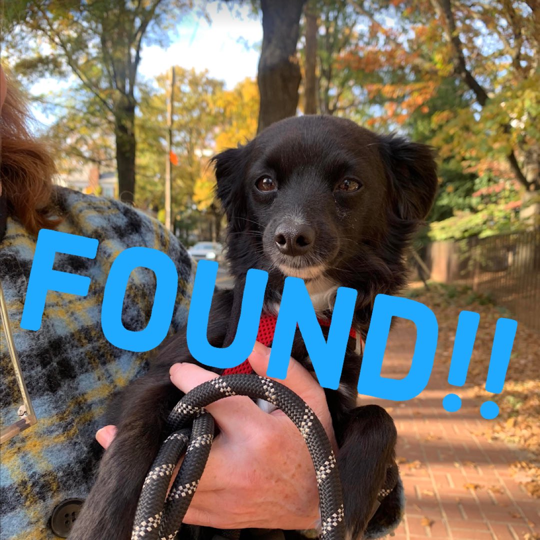 James Klise tweet media