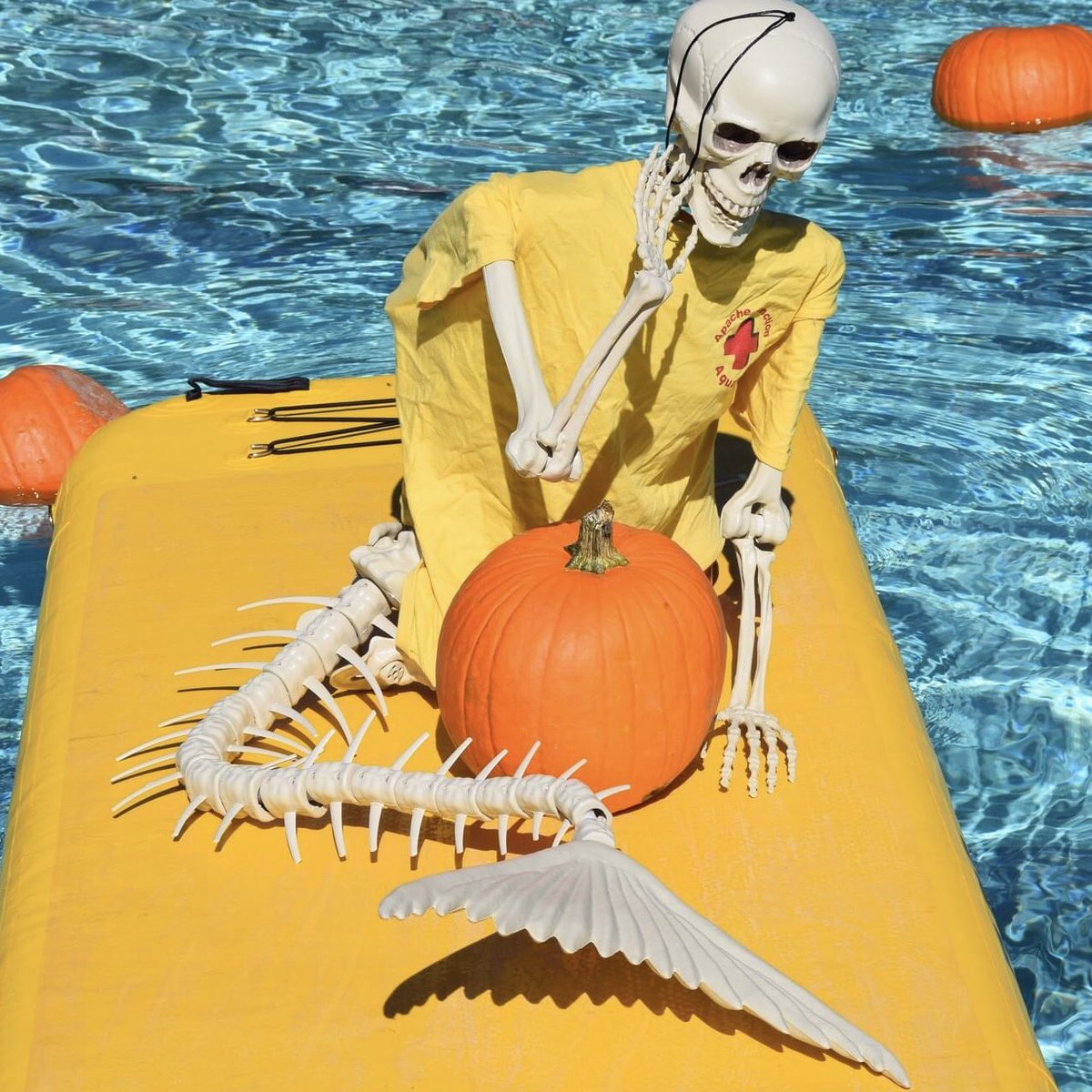 Liz Langenbach tweet media