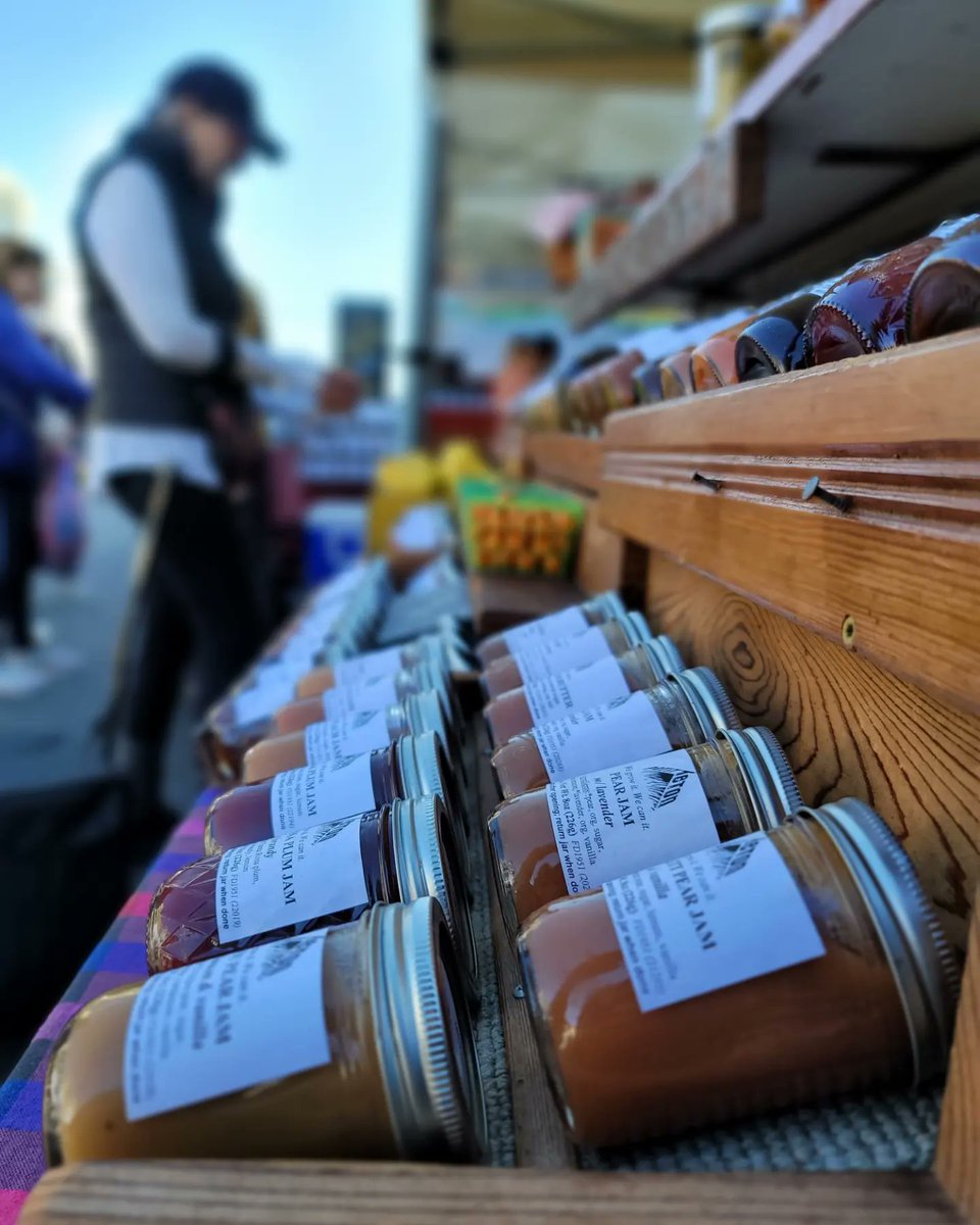 Kate Spivak tweet media