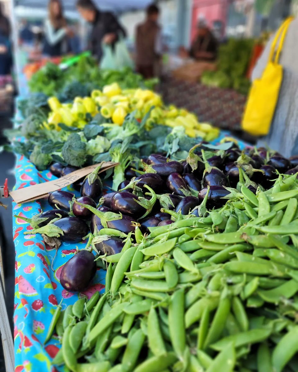 Kate Spivak tweet media