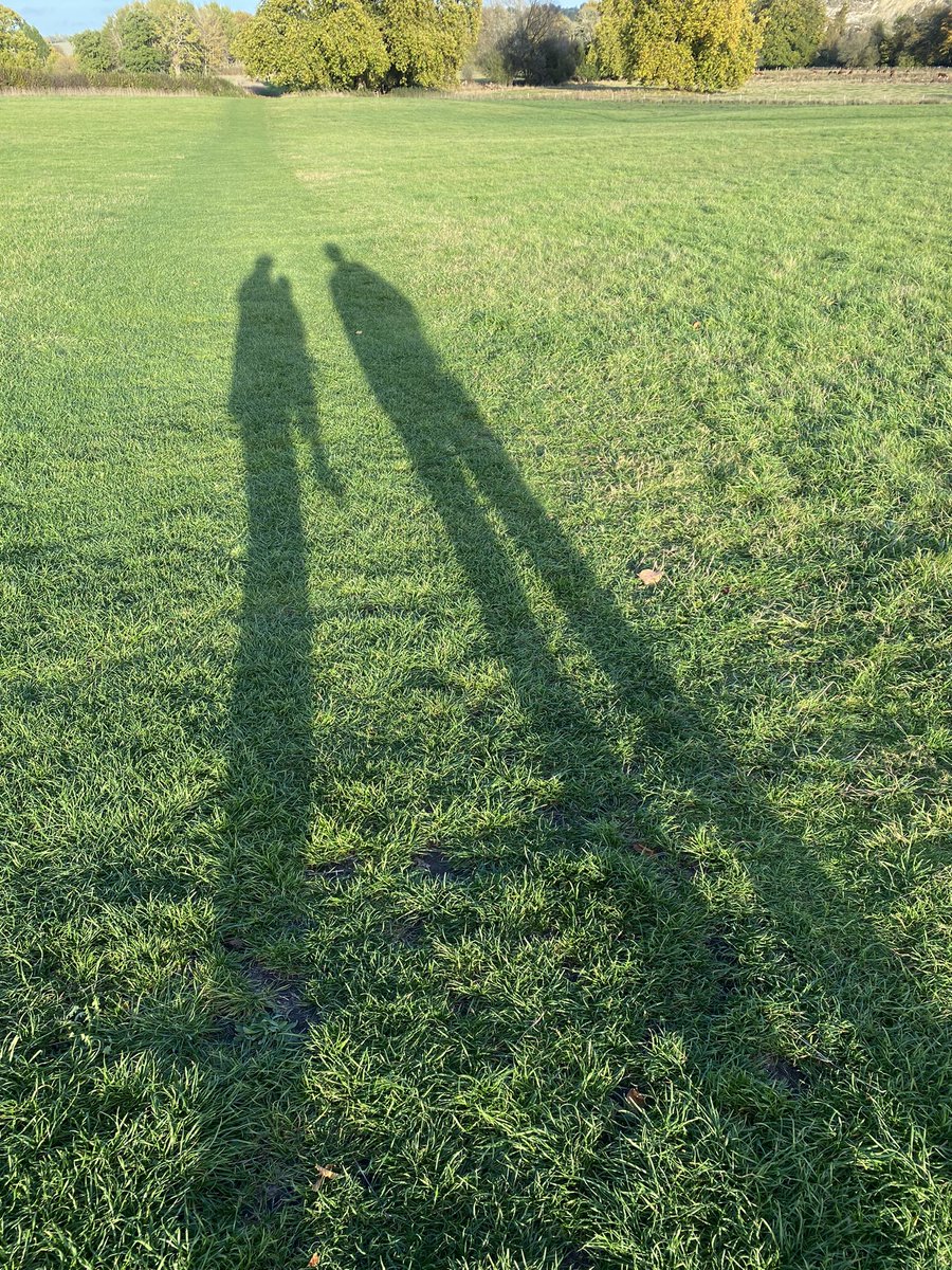 DrRCrossland's tweet photo. After a couple of #365DaysWild with separate #WildBeanAdventures, days 181-2 involved whole-family trips out! A short afternoon spell at @MottisfontNT on Fri: lovely #autumn colours, light & shadows (photos). Out around town & by the river on Sat with some rain. https://t.co/23UZSjIb0W