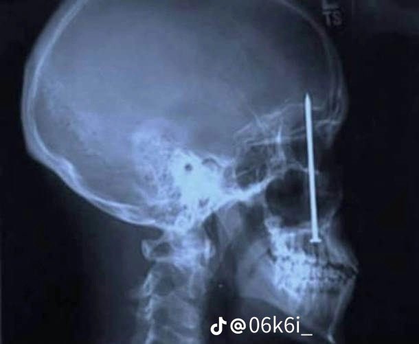 BORA BRASIL PORRA QM TIROU O PRIOR NO BBB 20 TIRA ESSE BOSTA DA PRESIDÊNCIA VAMO LA PORRA