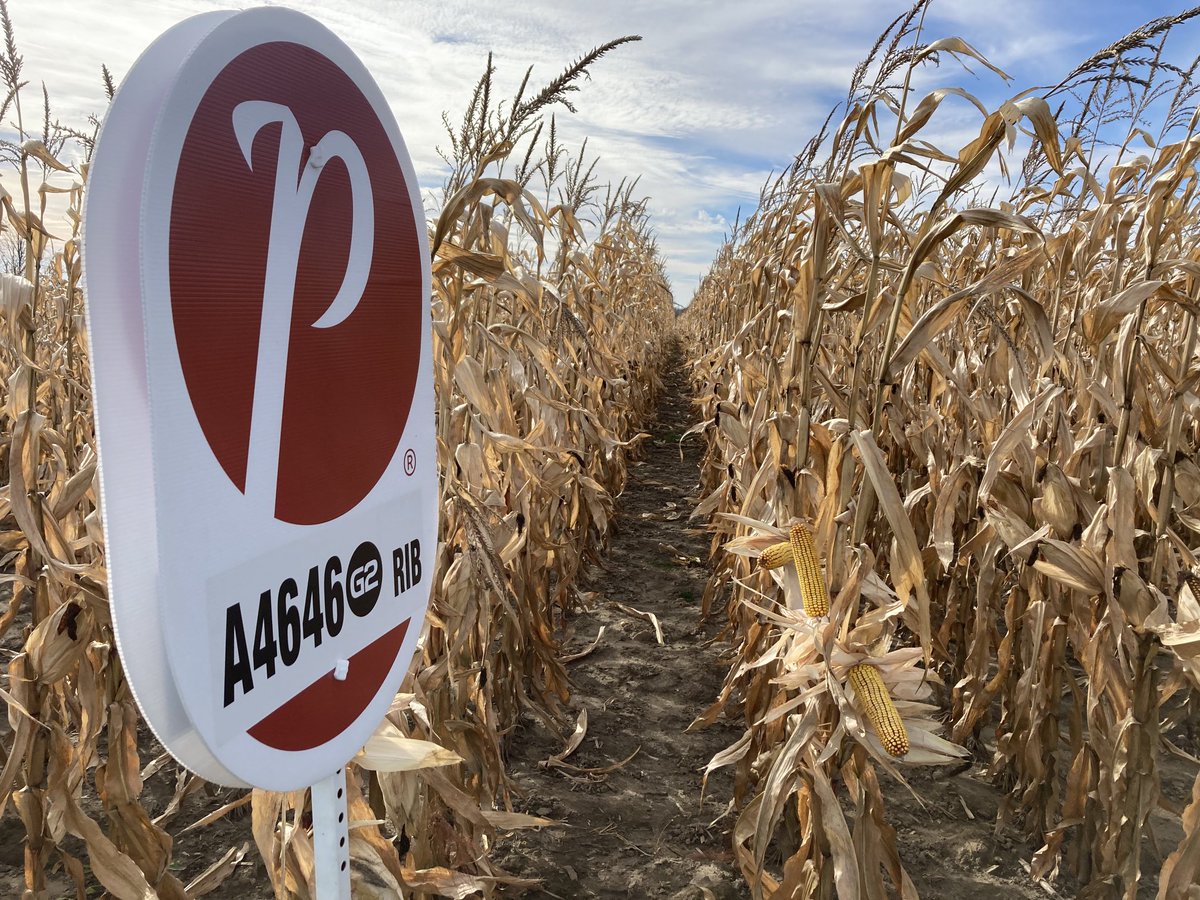 A4646G2 RIB looking good near Orangeville, Ontario while out on afternoon tour.