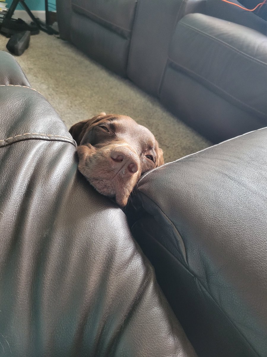 soitgoes86's tweet image. What are you eating? Can I have some?