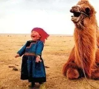 Laughter has only one accent and it sounds familiar in every language...~ #DTN #yesitdoes