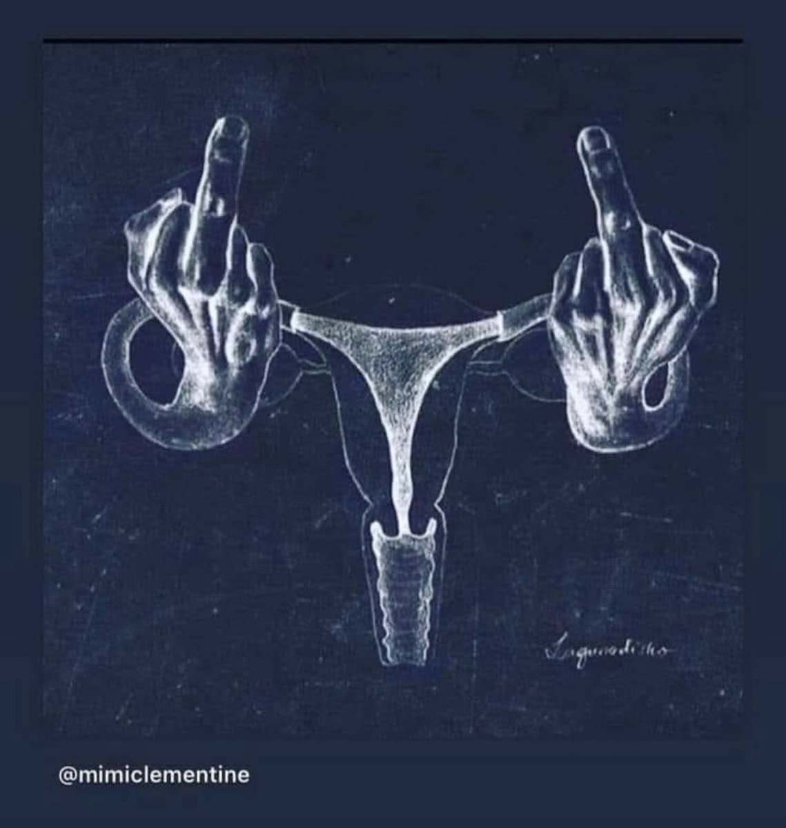 Women’s rights are human rights 🗳 #VoteBlueForSoManyReasons