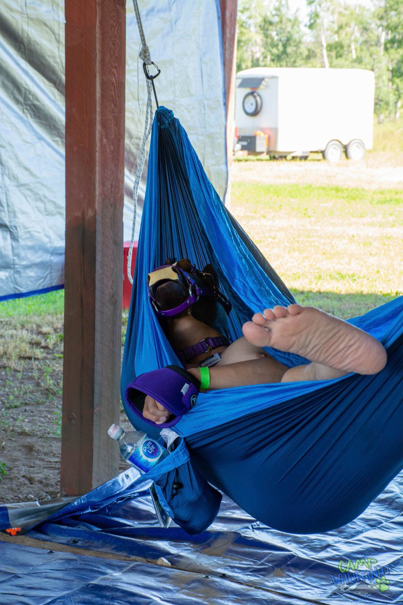 Reins_Of_Isaac's tweet photo. Some photos from this summers @Wruffin_it camp out.
-Credit to the camps approved photographers, thanks!
#wruffin_it #isaacpony #isaachooves #petcamp https://t.co/8rENy07AIH