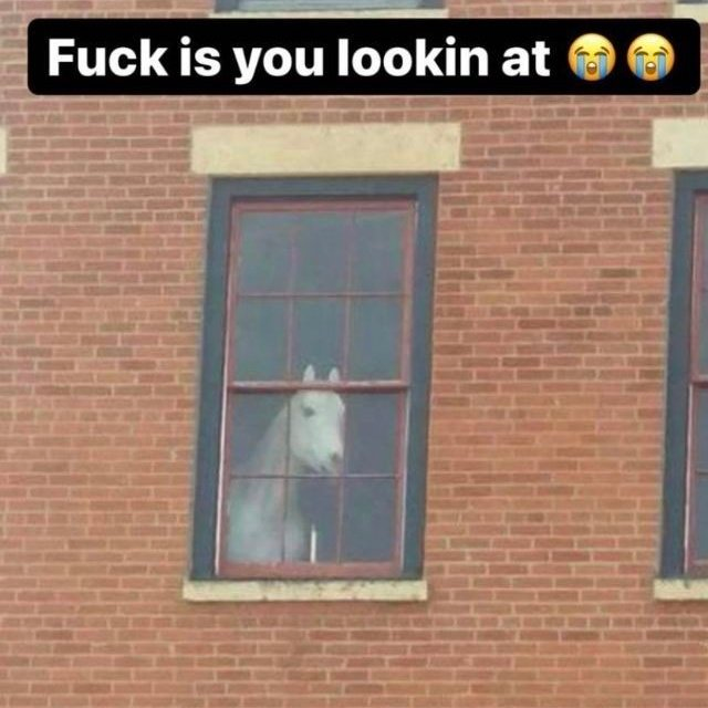 Edgeworth (@shinesbrllantly) on Twitter photo 