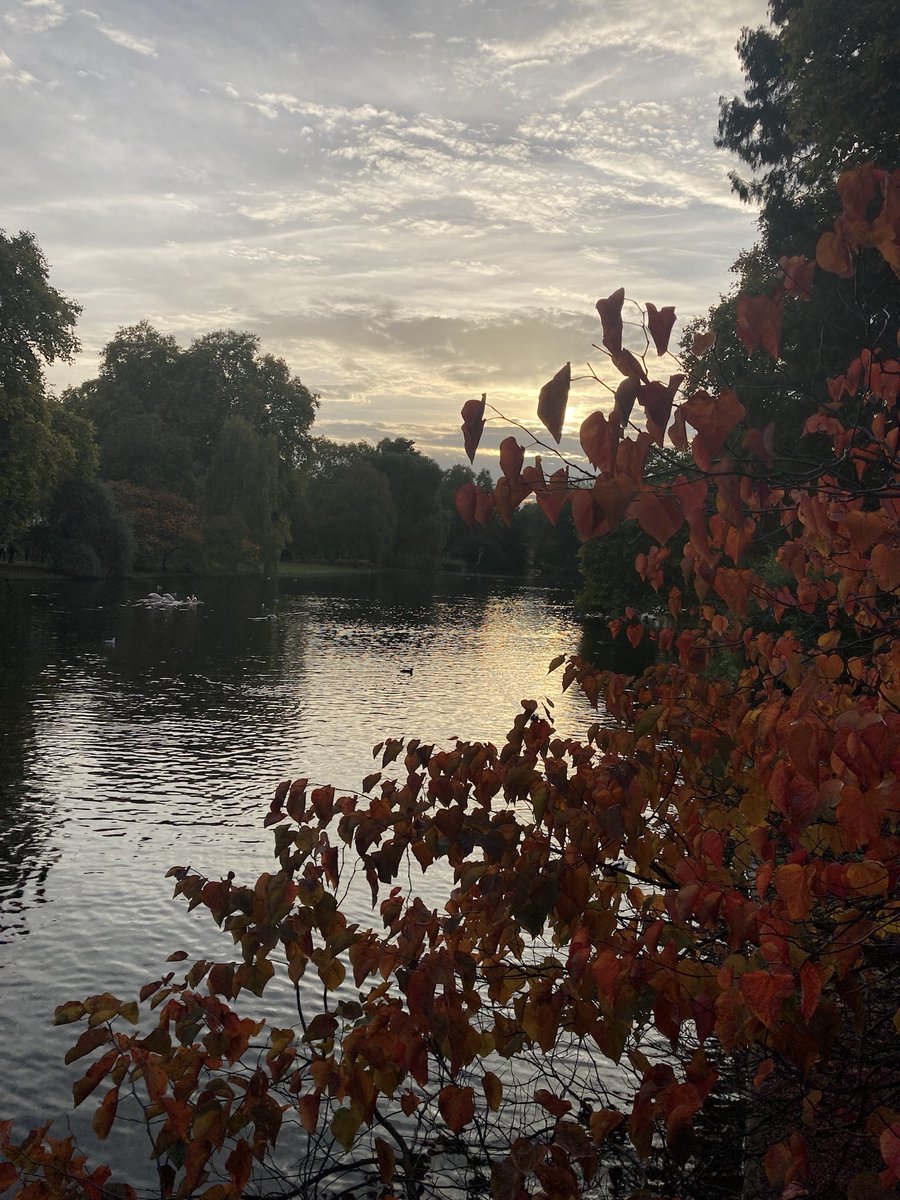 Autumnal wanderings in London