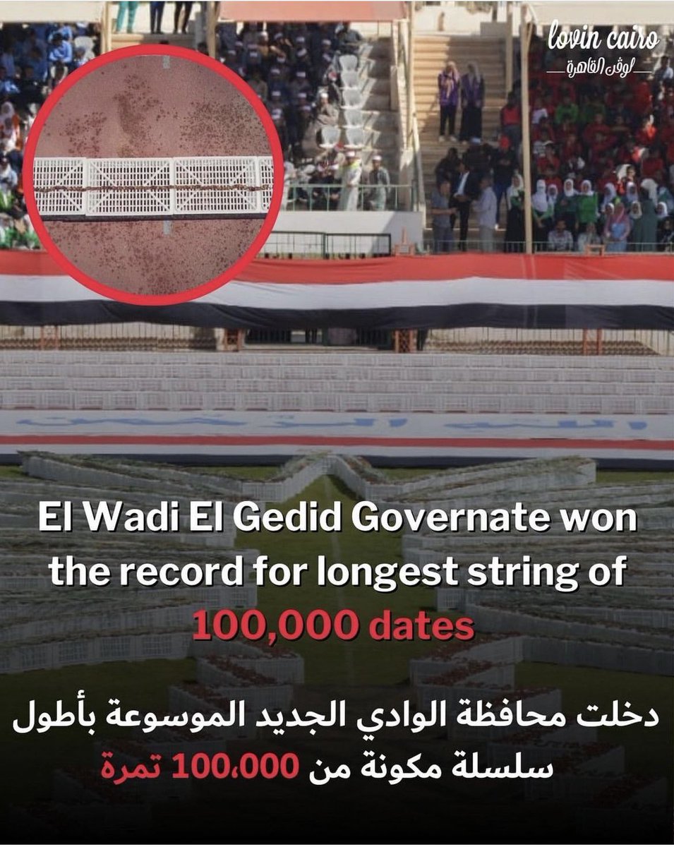 halabadawy64 tweet picture