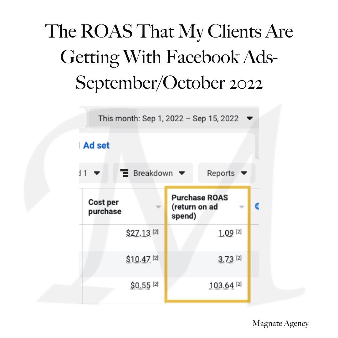 Some of the ROAS that our clients are getting with Facebook and Instagram ads in September and October 2022. 
#facebookads #instagramads