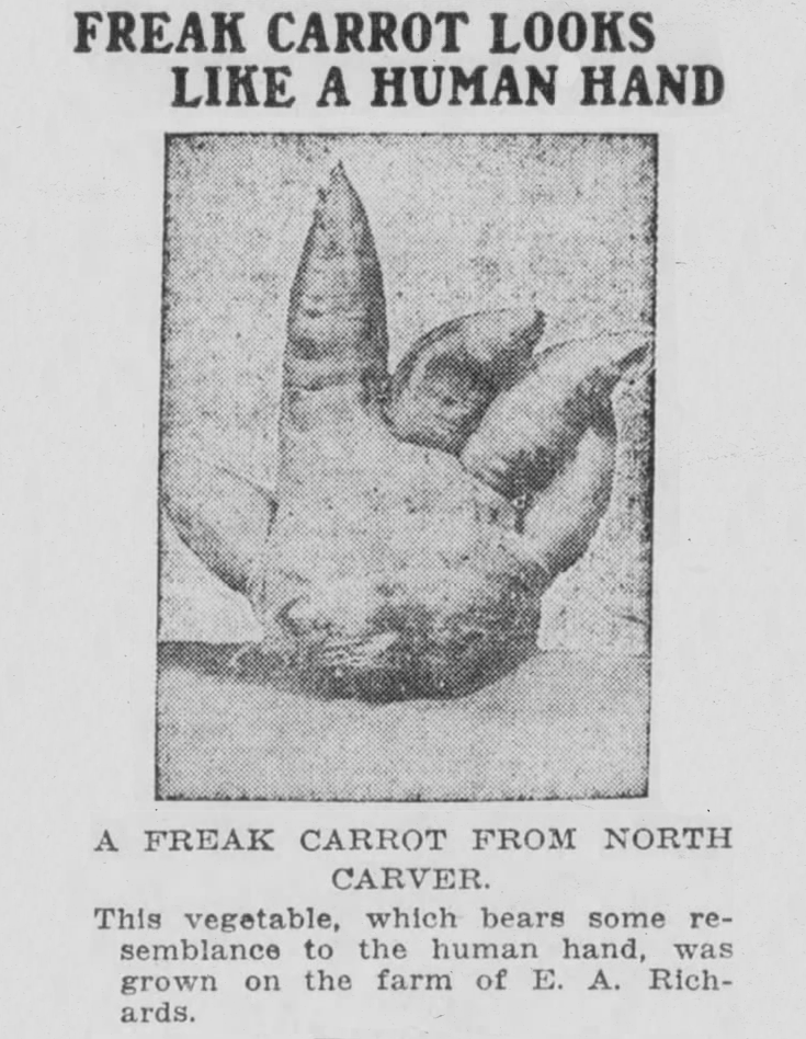 The Boston Post, Massachusetts, September 23, 1916