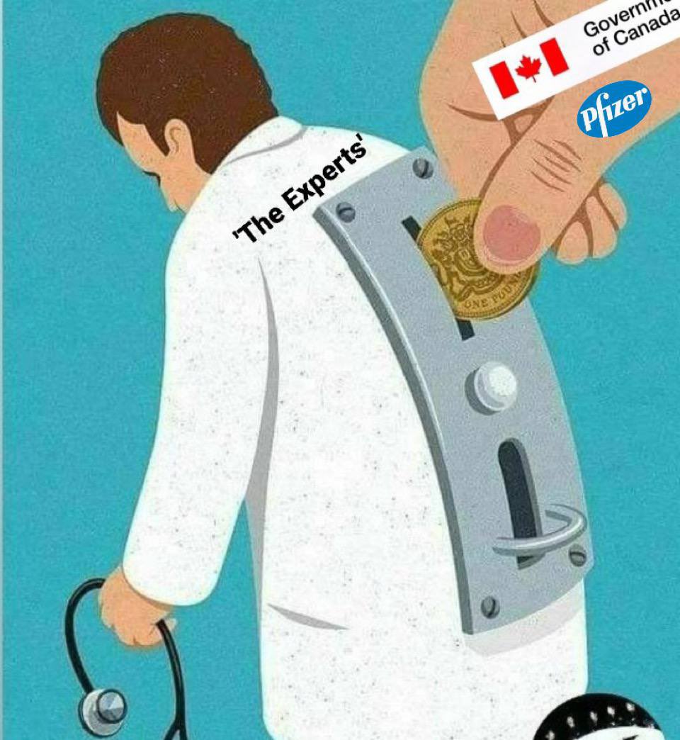 RealJoelGomes's tweet image. Time to wind up &amp;amp; cue up &quot;experts&quot; of the #Ontario #ScienceTable, which is defunct &amp;amp; whose opinion is equivalent to toilet product!
#onpoli #crookedpoliticians  #Hypochondriacs #CovidCult #BureaucratStooges #MSMliars #TrustTheScience #experts #ConvenientScience #PoliticalAgenda