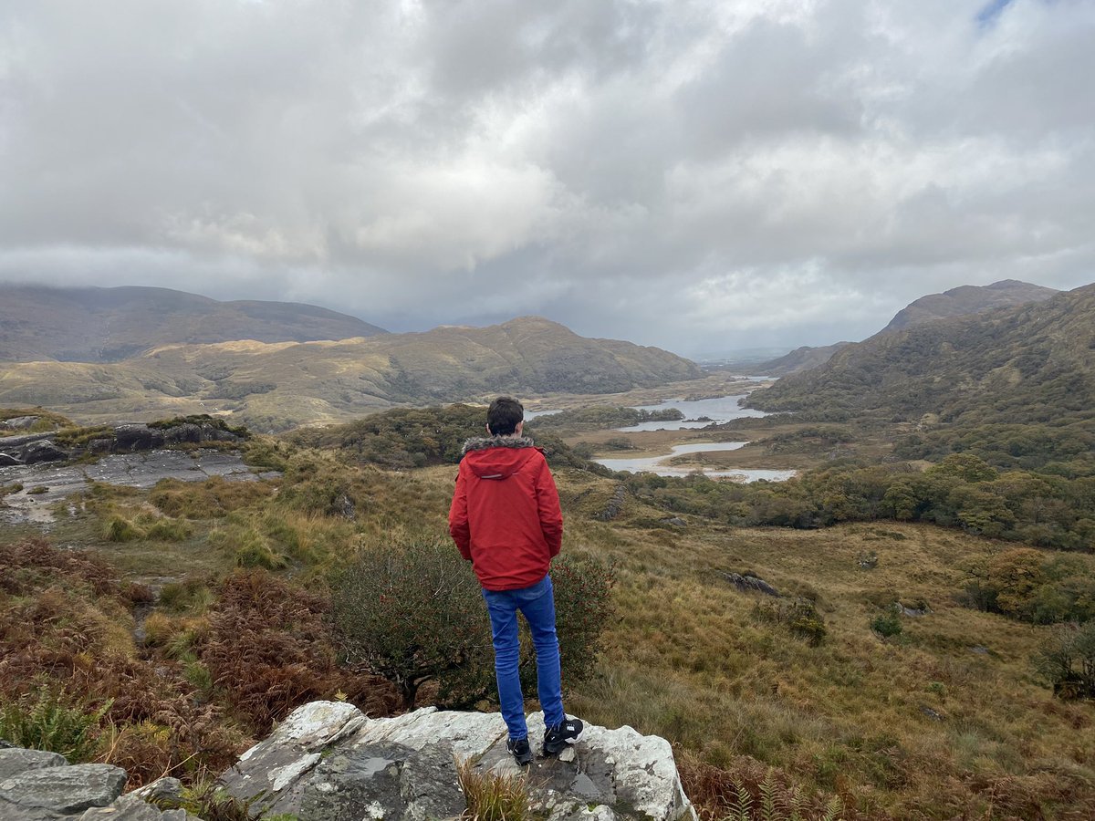 Regina Anderson (@regina60041819) on Twitter photo 