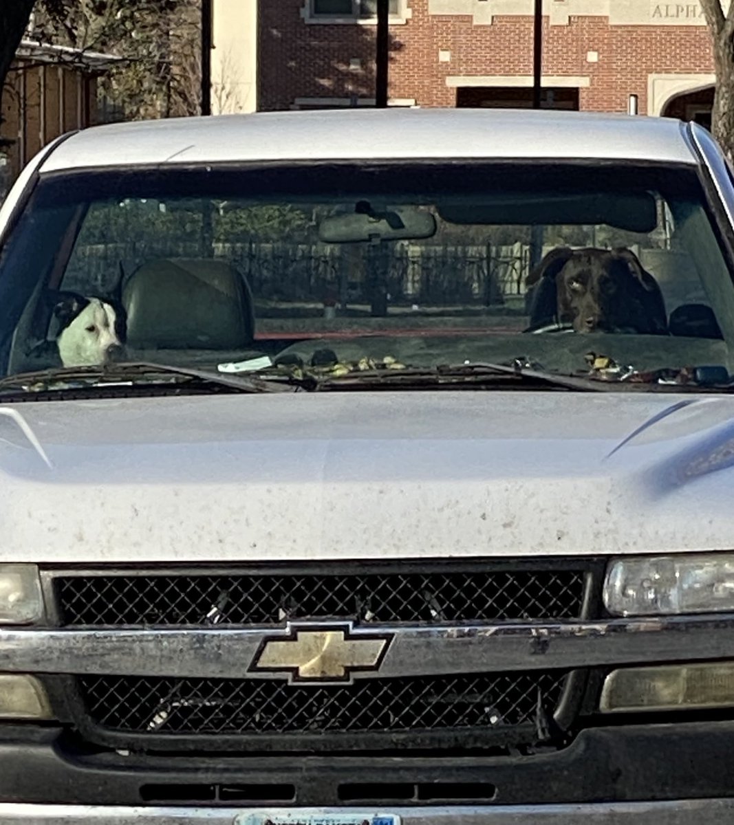 Andy Armacost (@undpresident) on Twitter photo Seen on the <a href="/UofNorthDakota/">U of North Dakota</a> campus this afternoon—pooches waiting for their human to finish work. Have a great week, everyone! Seen on the <a href="/UofNorthDakota/">U of North Dakota</a> campus this afternoon—pooches waiting for their human to finish work. Have a great week, everyone!
