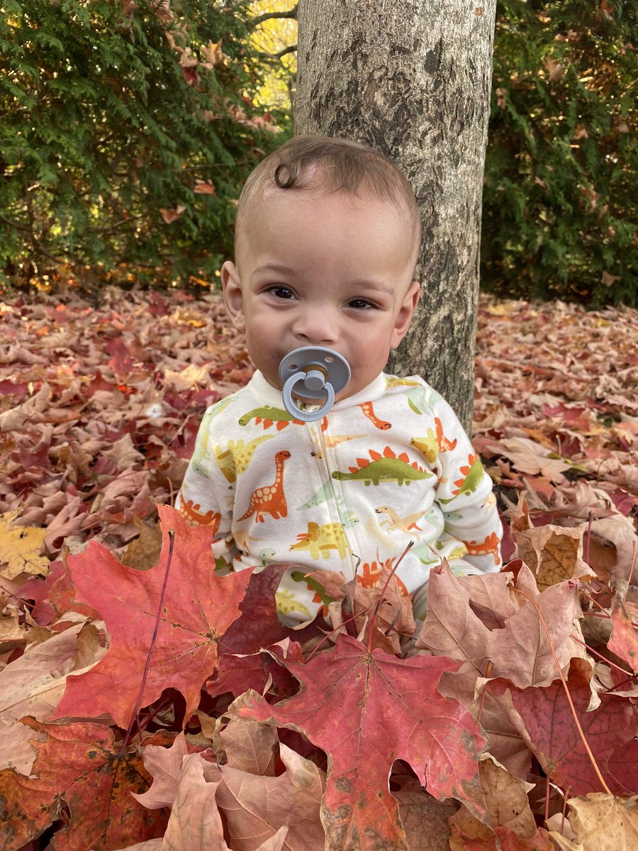 jjoleahalarkee's tweet photo. Cutest baby ever 🍂🍁🍂 https://t.co/03TRhb2985