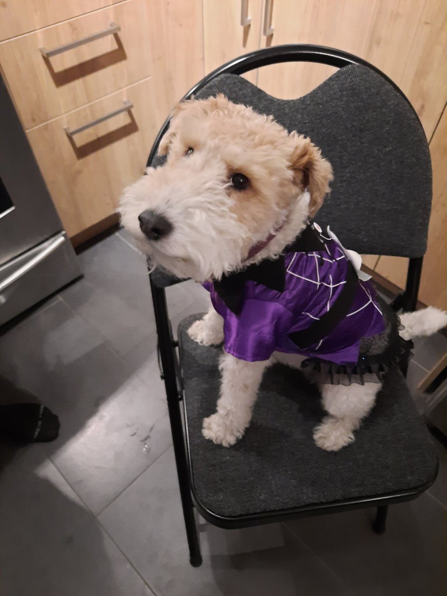 SWirefox's tweet image. Happy Halloween pals ~Sakura~