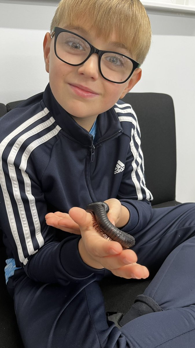 No fear here! My little animal lover visiting his aunties school and their reptiles with his cousins. @5MGWoodlands