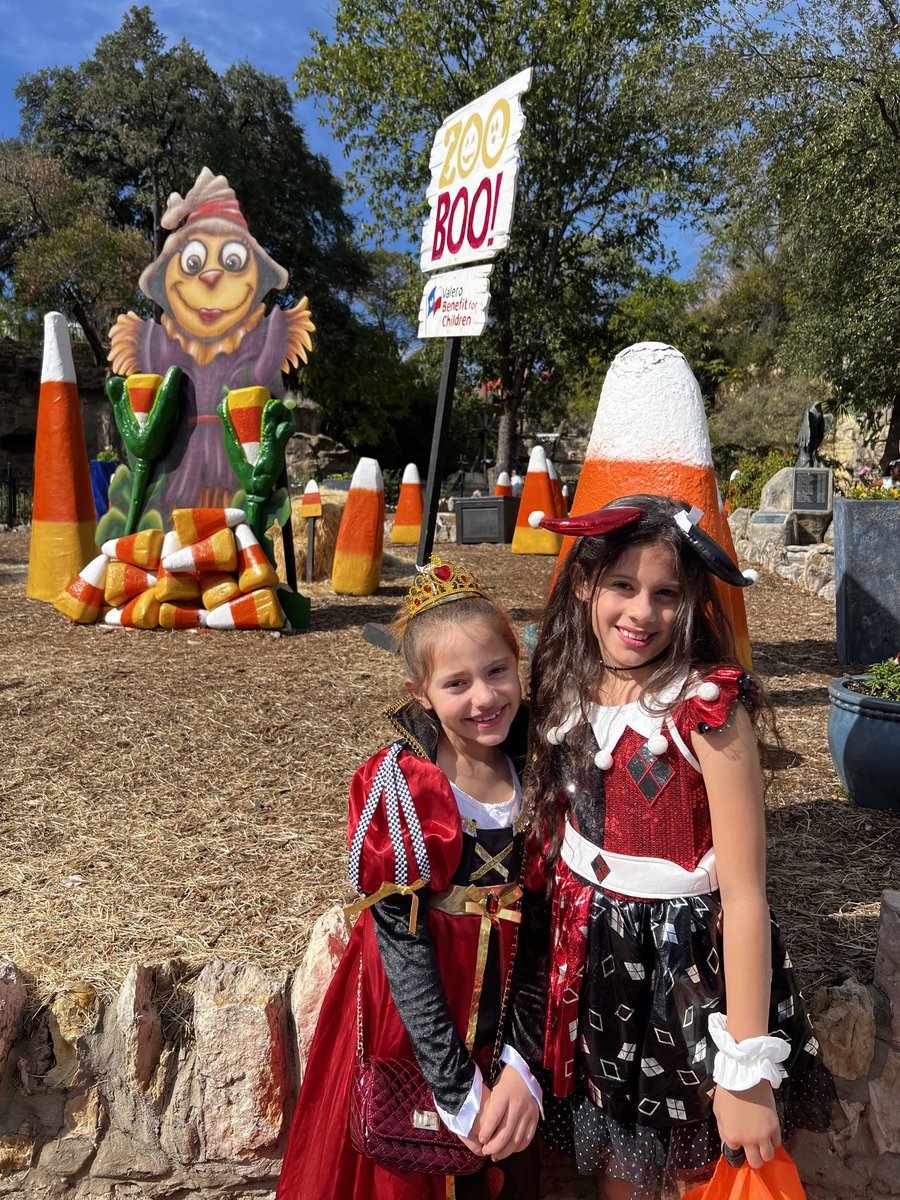 Matildas222's tweet photo. #ZooBoo fun! https://t.co/IadV61iCfm