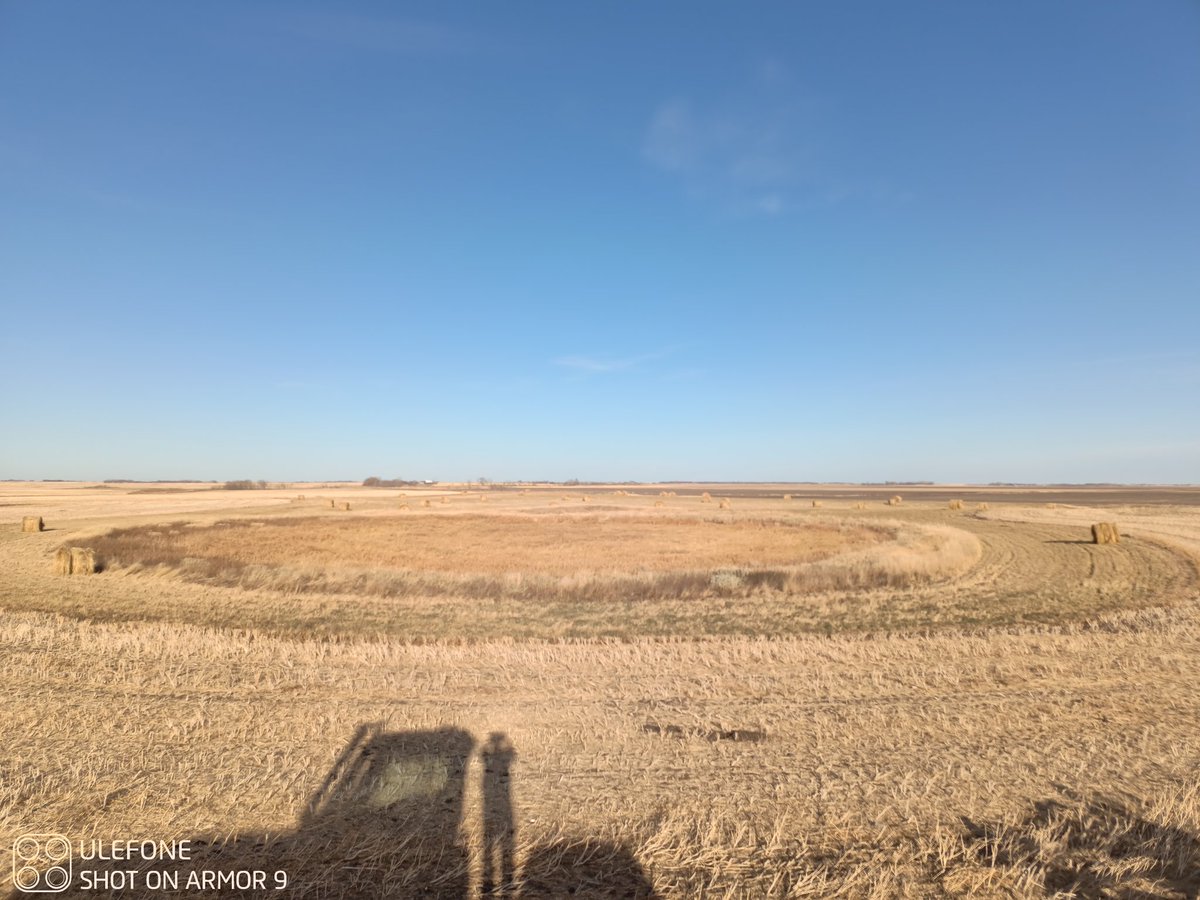 Joe Widdup tweet media