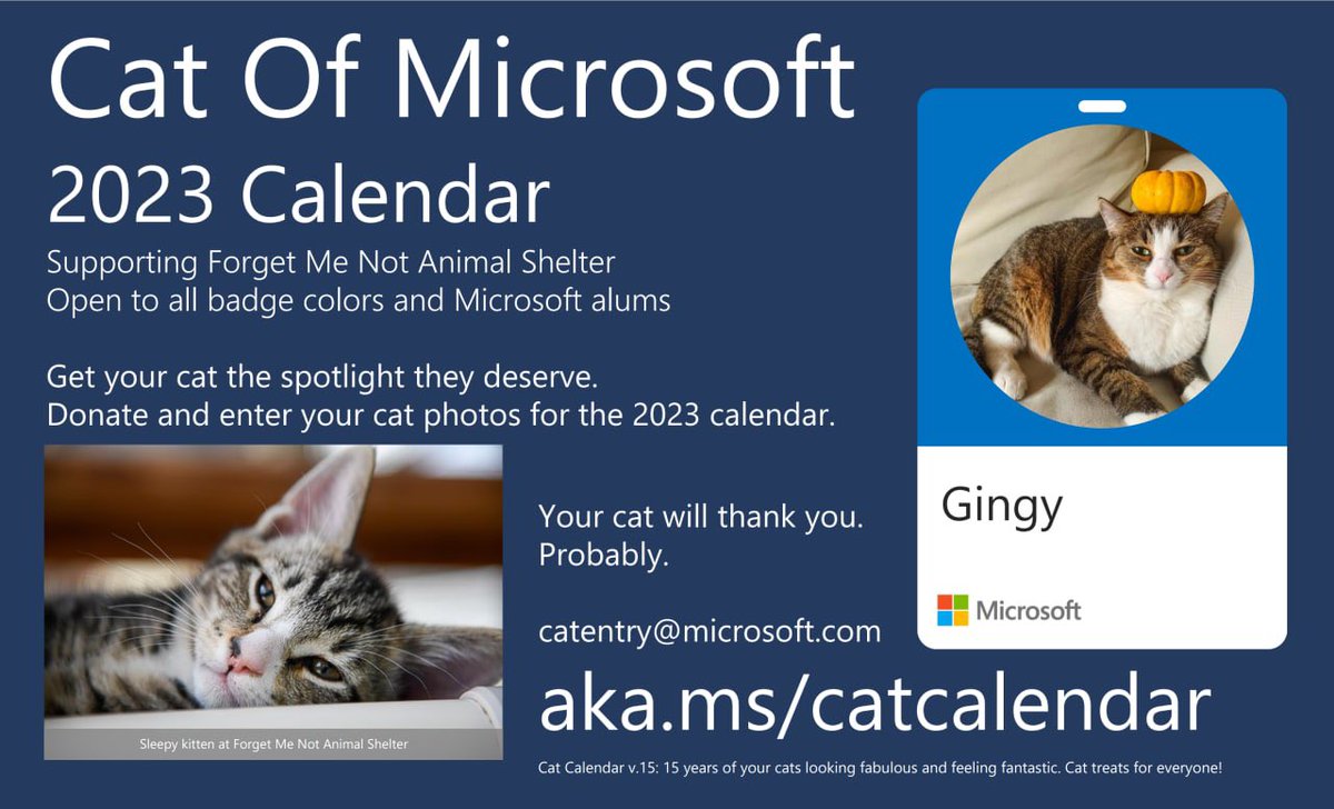 gingy_love's tweet image. This time of the year😌🎃

@CatsOfMicrosoft 
#gingythecat
#CatsOfMicrosoft