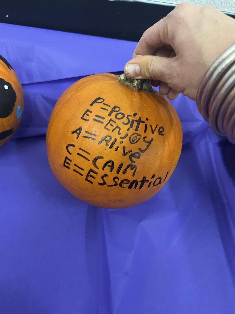 erin_rabon's tweet photo. In 5th grade we are working on poetry.  Students found their favorite poem and painted what it meant to them on a pumpkin to celebrate fall. I am so proud of both of my literacy classes! 🎨📖 @HurleyElem @jenbrown224 https://t.co/MLOoPt58Gz