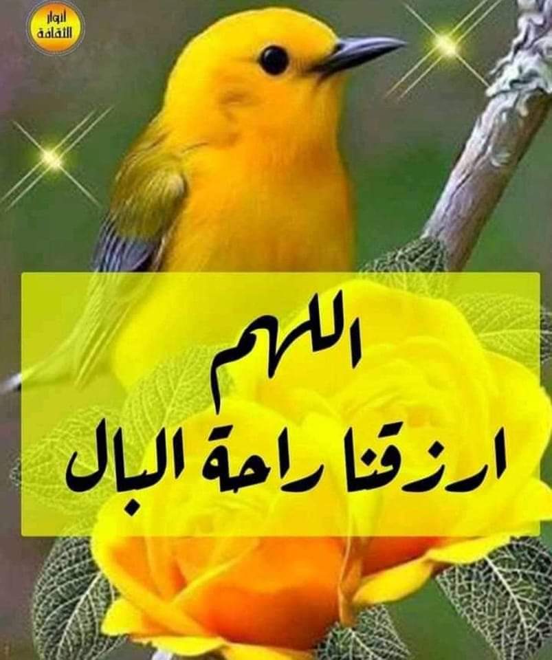 #حل_للمنتهيه_لاداس