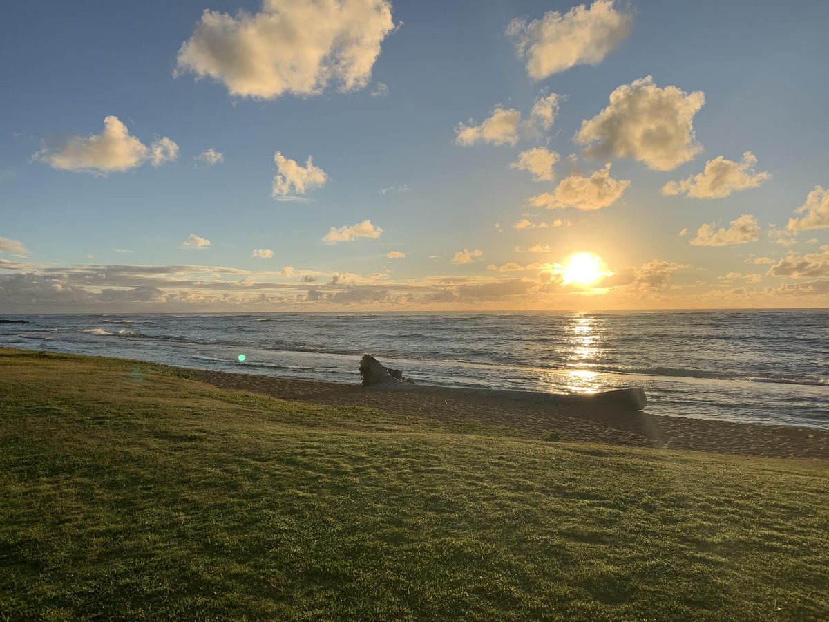 Er Dubay tweet media