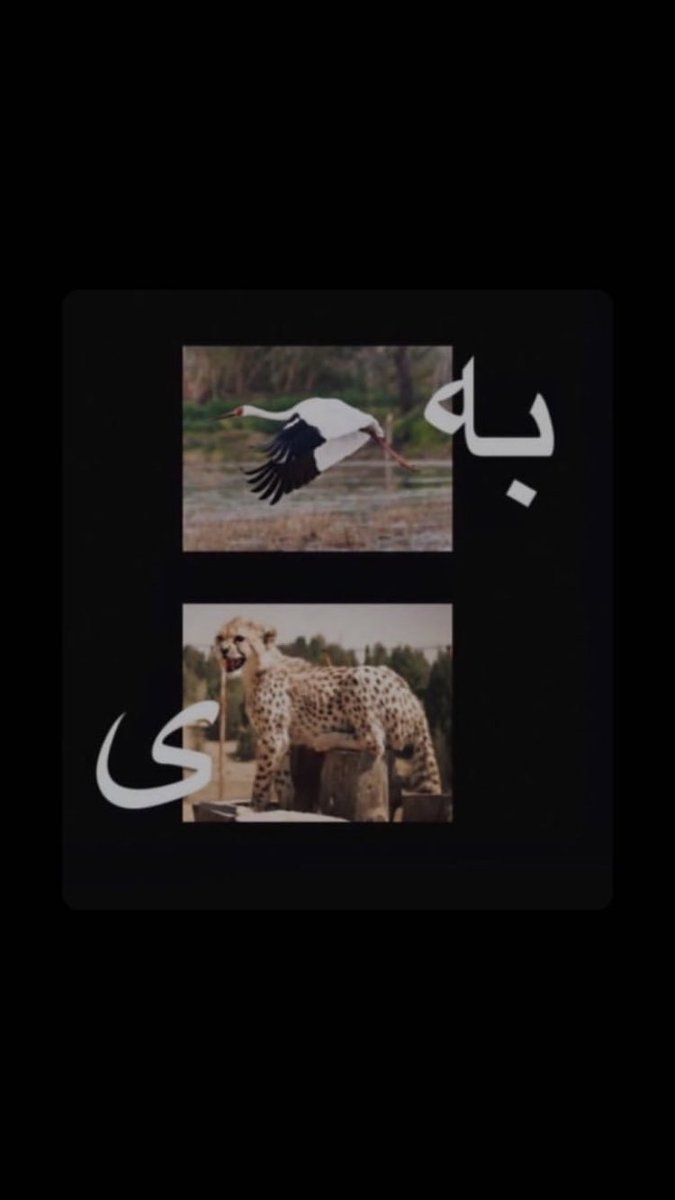 به امید پیروزی✌️👊
#مهسا_امینی