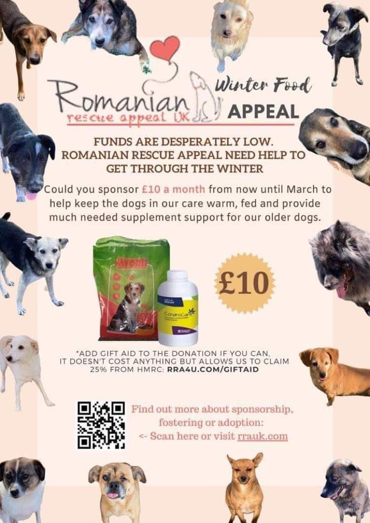 Romanian Rescue Appeal tweet media