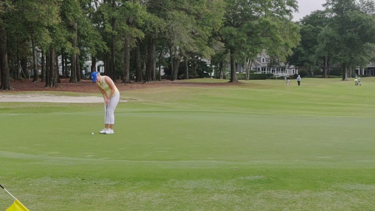 Landfall Tradition tweet media