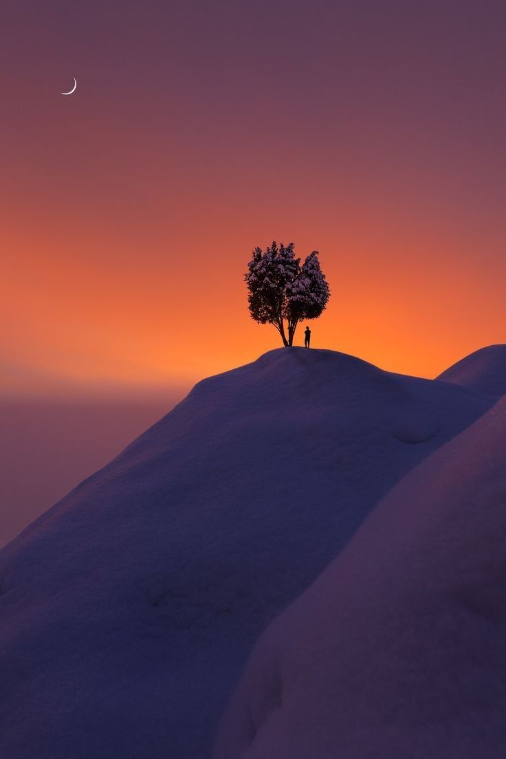"If you find no one to support you on the spiritual path, walk alone." 🤎