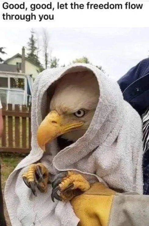 "Freedom has entered the chat"- Elon Musk (probably)